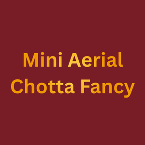 Mini Aerial Chotta Fancy